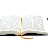 Illustration du profil de Magliwe-Pierre-Toumiliwa